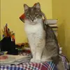 Отзыв от Кристина Быкова